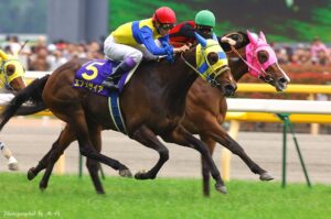 逆転の秋 - エアメサイア