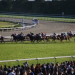 ブラックタイドとサクラバクシンオーの謎。2015年キタサンブラックの菊花賞