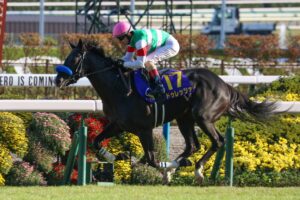 ［重賞回顧］幻惑のルメールマジックで二強を完封！大外枠を克服したドゥレッツァが、5連勝で菊の大輪を戴冠～2023年・菊花賞～