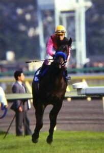 愛すべき名脇役、ホッカイルソー。不死鳥のごとく甦った生涯を振り返る