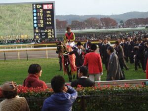 1年越しで夢見た"絶景" - 2011年・ジャパンカップ