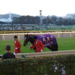 ウオッカvsダイワスカーレット。日本の競馬史上"最大の名勝負"とも言われる、2000m戦2cm差決着。 - 2008年 天皇賞・秋