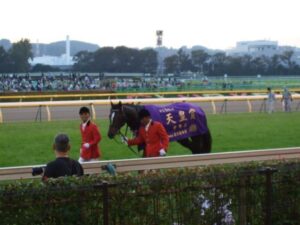 ウオッカvsダイワスカーレット。日本の競馬史上