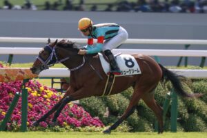 ［新馬戦回顧］川田騎手×中内田厩舎のタッグが今年の新馬戦4勝目！ - メイクデビューの勝者たち(2023年10月15日)