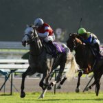 たくさんの夢を、満帆に受けて - 2012年菊花賞・ゴールドシップ