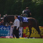 天へと駆けていった戦友 - トウショウナイト