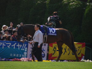 天へと駆けていった戦友 - トウショウナイト