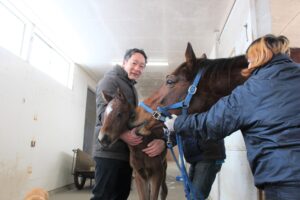 ［連載・馬主は語る］母ととねっ子（シーズン2-40）