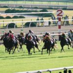 勝負の"ツキ"が明暗を分けた一戦。フサイチパンドラとカワカミプリンセスの激突した2006年エリザベス女王杯