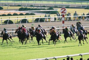 勝負の"ツキ"が明暗を分けた一戦。フサイチパンドラとカワカミプリンセスの激突した2006年エリザベス女王杯