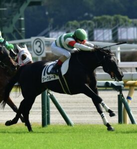 ［新馬戦回顧］青葉賞馬スキルヴィング半妹ジークルーネらが勝ち上がり！ - メイクデビューの勝者たち(2023年10月28日)
