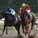 レギュラーメンバー、サブノジュニア、ララベル…。JBC大井の名場面、名勝負を振り返る