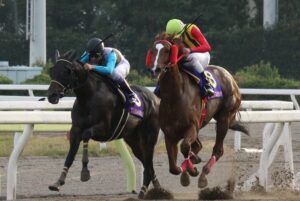 レギュラーメンバー、サブノジュニア、ララベル…。JBC大井の名場面、名勝負を振り返る