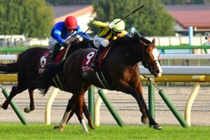 ［重賞回顧］マジックマンの面目躍如！　僅かな隙間を見逃さなかったゼッフィーロが内から突き抜け重賞初制覇～2023年・アルゼンチン共和国杯～