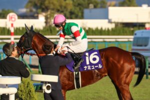 ［重賞回顧］4角15番手からの代打逆転ホームラン！紅一点ナミュールが強豪牡馬をなで斬り、悲願のGⅠ初制覇～2023年・マイルCS～