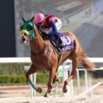 ［インタビュー］金銭よりも夢を目指して。兵庫・クリノメガミエース＆石橋調教師のジャパンC挑戦