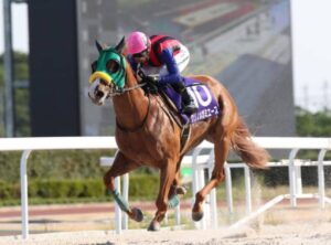 ［インタビュー］金銭よりも夢を目指して。兵庫・クリノメガミエース＆石橋調教師のジャパンC挑戦