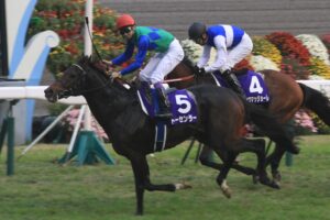 天才と太陽神を結んだ 100分の1の縁 - 歴代屈指の"淀マイスター"トーセンラー