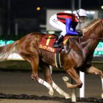 ［クイーン賞］スタートからクレイジーアクセル全開 生え抜き馬がクイーン賞でつかんだビッグタイトル