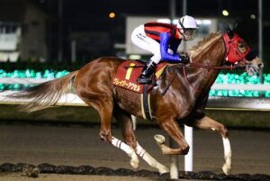 ［クイーン賞］スタートからクレイジーアクセル全開 生え抜き馬がクイーン賞でつかんだビッグタイトル