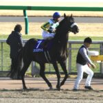 歩み続けるということ。ニホンピロアワーズと酒井学騎手が掴み取った待望の"1勝"