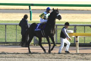 歩み続けるということ。ニホンピロアワーズと酒井学騎手が掴み取った待望の"1勝"