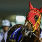 エーデルワイス賞を制覇し、地方2歳女王に。レース中の怪我でこの世を去った悲運の実力派、アークヴィグラスの思い出