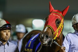 エーデルワイス賞を制覇し、地方2歳女王に。レース中の怪我でこの世を去った悲運の実力派、アークヴィグラスの思い出