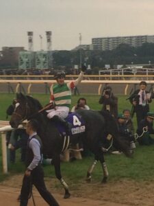 サラブレッド界の"サラブレッド"、エピファネイアが才能を爆発。競馬界を変えた2014年ジャパンカップを振り返る