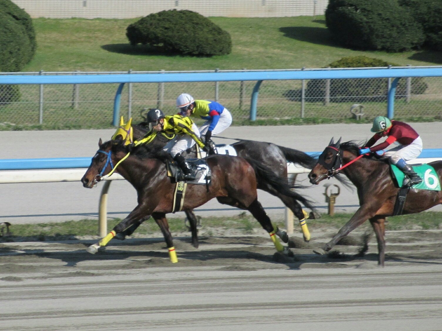 ［インタビュー］競走馬クワイトファインの背中から見た景色を振り返る - 金沢・柴田勇真騎手