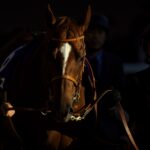 戸をあけて出てゆく男 - 無敗の三冠馬と戦った2歳マイル王者、サリオス
