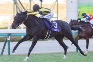 ◆　競馬　JRA　◆　ジャンタルマンタル　◆朝日杯フューチュリティ◆２種類セット 朝日杯FS】ジャンタルマンタルが無傷3連勝で2歳マイル王 - 2