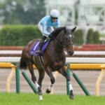 無敗の三冠牝馬、デアリングタクト。彼女からもらった勇気。