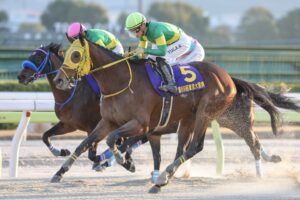 ［地方レース回顧］豪脚一閃！前年覇者ウシュバテソーロが世界レベルの走りを披露～2023年・東京大賞典～