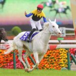 純白の女王、ソダシ。彼女を愛し追いかけた、その幸せな時間を振り返る
