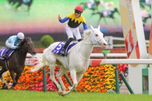 純白の女王、ソダシ。彼女を愛し追いかけた、その幸せな時間を振り返る