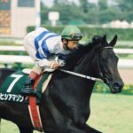 ヒシアマゾン 1993年 第45回阪神3歳牝馬ステークス(GI) (優勝馬