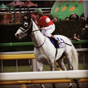 不沈艦の旅程は永遠に - 2015年有馬記念 ゴールドシップのラストランと引退式