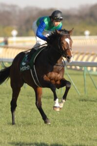 ［連載・クワイトファインプロジェクト］第36回　やっぱり競馬はロマン？