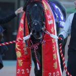 ［石神深一ブログ］あけましておめでとうございます！　2024年もよろしくお願いします