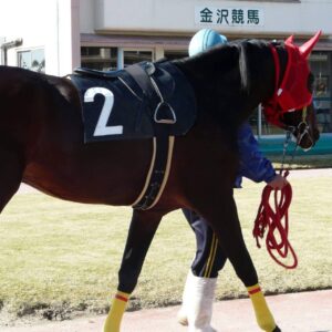 ［連載・クワイトファインプロジェクト］特別編　能登半島震災への当プロジェクト対応