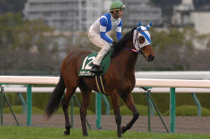 仁川の桜に"龍"が昇る。ショウリュウムーン・木村健騎手がアパパネを倒した日 - 2010年・チューリップ賞