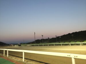 ［佐賀記念］カシノオウサマ、オペラキッスの幻影を追いかけて