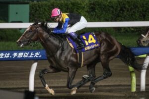 ［佐賀記念］佐賀の大一番、佐賀記念。今年の展望は？