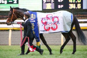 "砂上のサウスポー"カフェファラオの蹄跡を振り返る