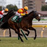 絆✨ジャスティンミラノ✨絆【デビューからクラシック軌跡】 ジャスティンミラノ【メイクデビューからクラシック軌跡】絆