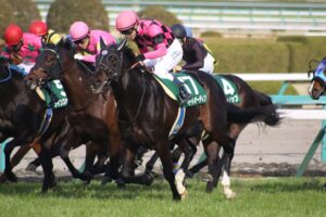 あの日の夢が、形を変えても。 - スマートオーディン・2019年阪急杯