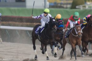 ［重賞回顧］浦河の名門に一足早い春の訪れ！初物づくしの伏兵ペプチドナイルがGⅠ初制覇～2024年・フェブラリーS～