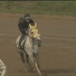 ［インタビュー］益田場外発売所が廃止も、今もなお熱く輝く"益田魂"。スピーディキック管理の藤原智行調教師が振り返る益田競馬