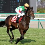 父の想いをその背に宿して。"エリート"トゥザワールドと"野武士"ワンアンドオンリーの決闘 - 2014年・弥生賞